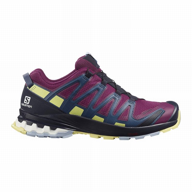 Zapatillas Trail Running Salomon Mujer Moradas - Salomon Argentina XA PRO 3D V8 GORE-TEX ,184963-GHE